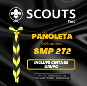 kit investudura scout