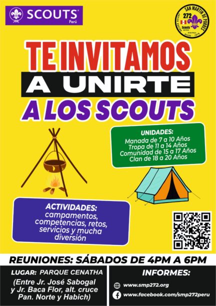 Afiche Scout 272