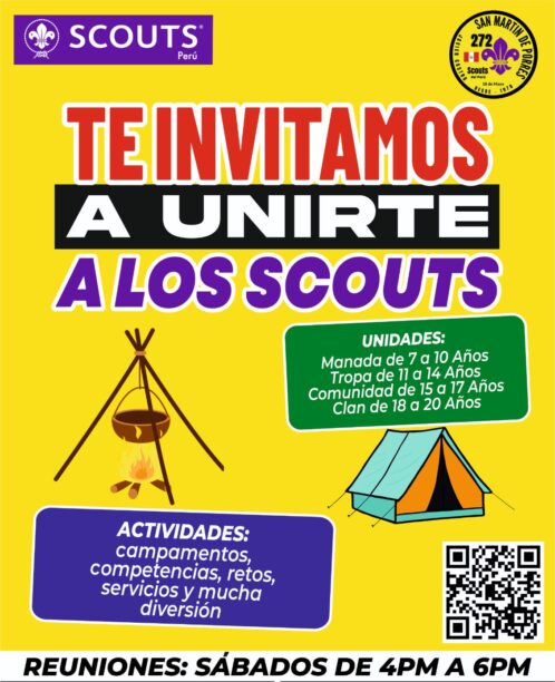 Afiche Scout 272